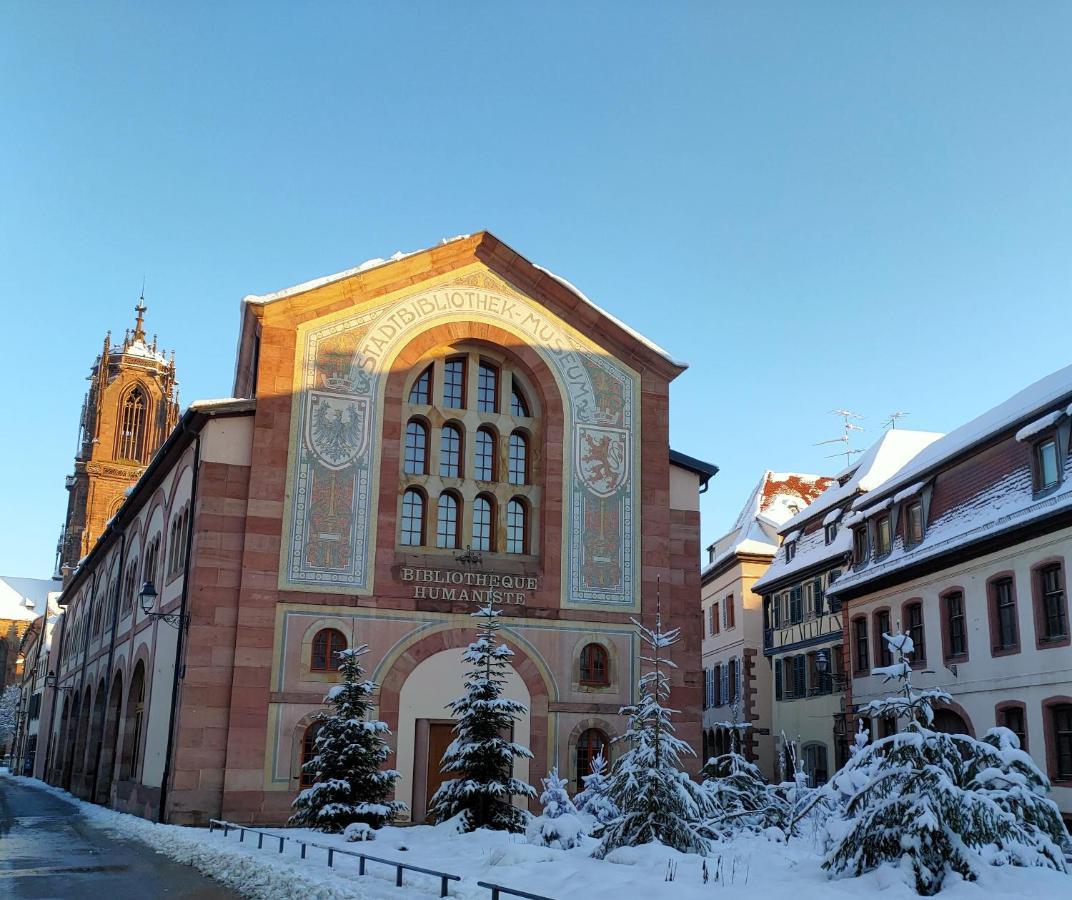 La Maison Bleue, A 20 Mn De Strasbourg, Sur La Route Des Vins, Jusqu'A 6 Personnes, Sélestat Exterior foto